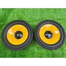 Mua CỦ LOA BASS RỜI 20 TỪ LỚN HÀNG CHÍNH HÃNG HẢI TRIỀU COIL 38 TỪ 126 MÀN VÀNG (GIÁ 1 CÁI)