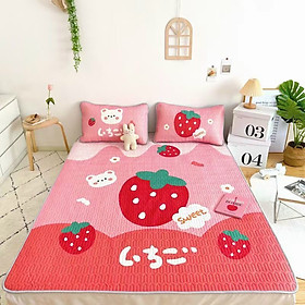 Chiếu Điều Hòa Cao Su Non Latex 5D Dâu Hàn Quốc