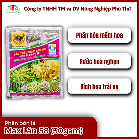 Mua Phân bón lá Chuyên tạo mầm MAX LÂN 58 Gói 30g