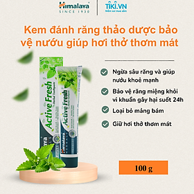 Kem Đánh Răng Thảo Mộc Tươi Mát Active Fresh Himalaya Herbals HMTP0003 (100g)