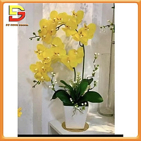 Mua Chậu Hoa Lan Hồ Điệp Cao Su Tuyệt Đẹp Trang Trí Bàn Trà  Kệ Tủ  Làm Quà Tặng Sang Trọng DG-42