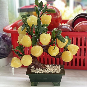 Mua Cây Đào 13 quả Đá Hồng  Đá Ngọc Hoàng Long - Cao 40cm   Ngang 25cm