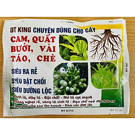 Phân bón vi lượng M-Ferti NPK 10-55-6 hiệu DT-King - Dinh dưỡng cây trồng - Bổ sung vi lượng phục hồi cây sau thu hoạch - Kích thích bộ rễ,  bật chồi, nảy lộc - Xanh lá, dày lá, mở lá cực mạnh - Phòng nghẹt rễ, vàng lá sinh lý, hạn chế ngộ độc hữu cơ