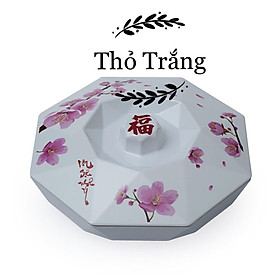 Mua Khay đựng mứt Tết cao cấp nhiều mẫu đa dạng  dễ dàng lựa chọn