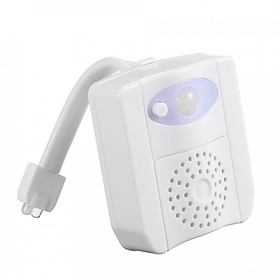 Đèn LED Toilet Hỗ Trợ Sạc Pin