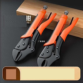 Mua Kìm bấm chết 10 in Cao Cấp
