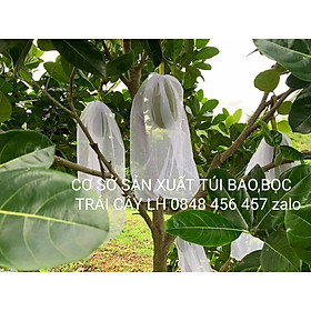 Mua 100 CÁI TÚI BAO  BỌC MÍT THÁI LƯỚI TỐT KÍCH THƯỚC 50*70 -TÚI BAO BỌC TRÁI CÂY