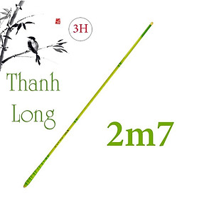 Cần câu tay trúc xanh thanh long 3h độ dài 2m7-3m6-3m9-4m5-5m4-6m3 câu cá giải trí rô riếc chép trôi CĐ-6