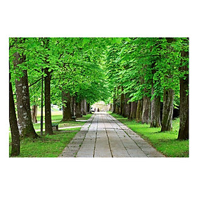 Mua Tranh Dán Tường Phong Cảnh 3D LN0328 - 200 x 150 cm