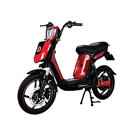 XE ĐẠP ĐIỆN CAP A+