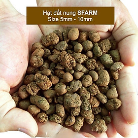 Mua VIÊN ĐẤT NUNG ( SỎI NHẸ ) SFARM
