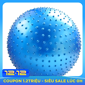 Bóng Tập Yoga Có Gai Sportslink 65cm (Xanh)