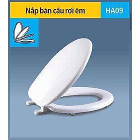 Mua Nắp Bồn Cầu Ráp Chuẩn Bồn Cầu nax 117