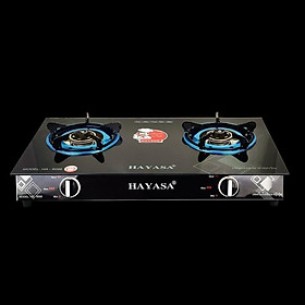 Mua Bếp ga đôi Hayasa HA8096 Đieu Inox 304  đầu đốt đồng kiềng men 5 ly  mặt kính chịu lực cao  khung sơn-hàng chính hãng
