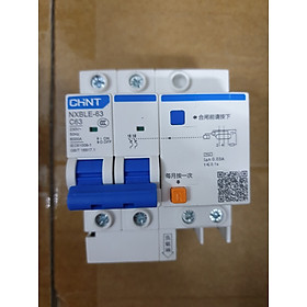 Mua Áp tô mát chống giật  NXBLE 1P+N   2P 16A 25A   32A  40A  63A