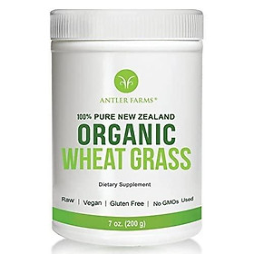 Bột cổ lúa mì hữu cơ Antler Farms 100% Pure New Zealand Organic Wheatgrass Powder