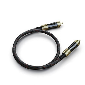 Mua Dây Digital Fiio LR-RCA1 (dài 50cm) - Hàng Chính Hãng