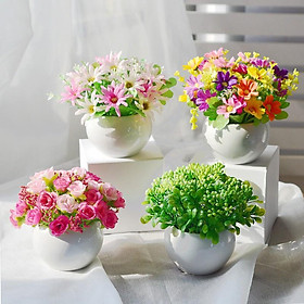 Mua Chậu hoa giả mini cắm sẵn nhiều mẫu siêu đẹp trang trí nhà cửa