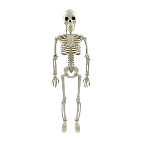 Halloween Skeleton Ornament, Full Body Skeletons with Movable Joints, Skull Statue for Lawn Halloween Party