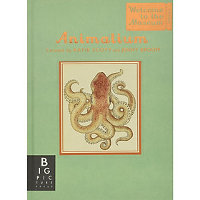 [Download Sách] Animalium (mini gift edition)