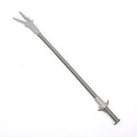 Bể Cá Cây Thủy Sinh (50CM)