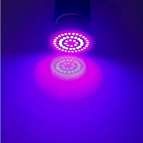 3/4/5W AC220V E27 Socket Full Spectrum LED Grow Lights Bulb for Vegetables Greenhouse and Hydroponic