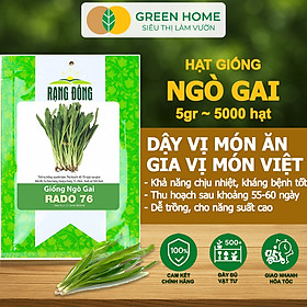 Hạt Giống Gia Vị Greenhome, Nhiều Loại, Trồng Chậu, Dễ Trồng, Chịu Nhiệt, Trồng Quanh Năm, Năng Suất
