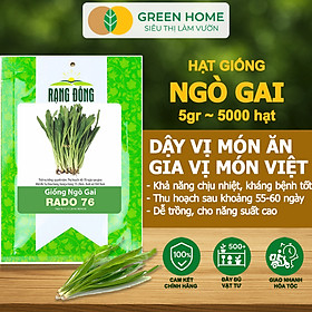 Hạt Giống Ngò Gai Greenhome, Gói 5gr~5000 hạt, Mùi Tàu, Dễ Trồng Quanh Năm, Nảy Mầm Cao, Thu Hoạch Nhanh, Năng Suất Cao G08