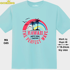HAWAII, mã G65. Áo thun siêu đẹp cho cả gia đình. Form unisex cho nam nữ, trẻ em, bé trai gái. Quà tặng ý nghĩa cho bố mẹ, con cái, bạn bè, doanh nghiệp, hội nhóm