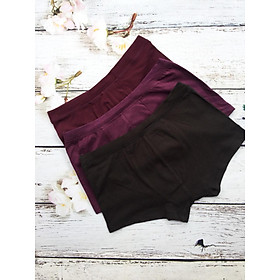 COMBO 3 QUẦN LÓT NAM - COTTON SIÊU NHẸ