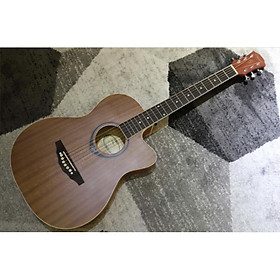 Mua Đàn Guitar Acoustic Chard EB16S