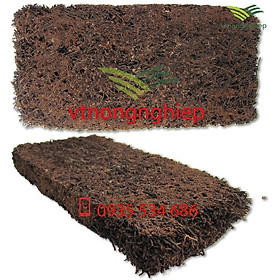 Dớn bảng trồng lan kích thước 30x15x2.5(cm)