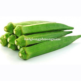 Mua 10GR - HẠT GIỐNG ĐẬU BẮP XANH CAO SẢN SIÊU LÙN