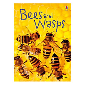 Usborne Bees and Wasps