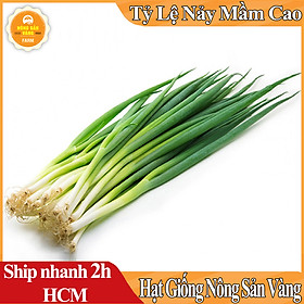 Hạt giống Hành Lá, Dễ Trồng, Thiết Yếu Cho Mỗi Bữa Cơm Gia Đình (Gói 2 Gram) - Nông Sản Vàng