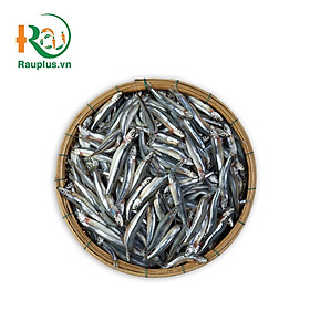 CÁ CƠM THAN ĐẠT CHUẨN VIETGAP_400Gram