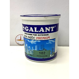 Sơn nước ngoại thất Galant 800ml - Sơn chậu kiểng, chậu hoa, sơn chỉ