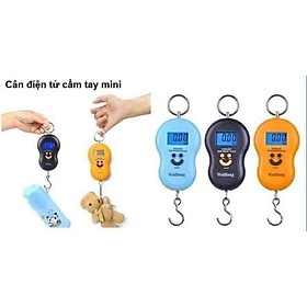 Mua cân móc điện tử mini cầm tay