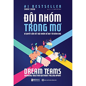 Đội Nhóm Trong Mơ s2