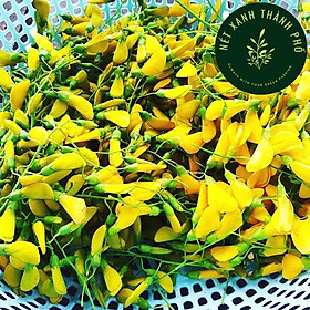 Mua Hạt giống Bông Điên Điển