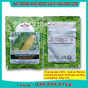 Hạt Giống Ngô Ngọt Lai  F1 GOLDEN COB 100gram - Ngô Năng Suất Cao Hạt Ngô To Đều Đẹp