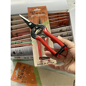 Mua KÉO CẮT CÀNH- HÀN QUỐC