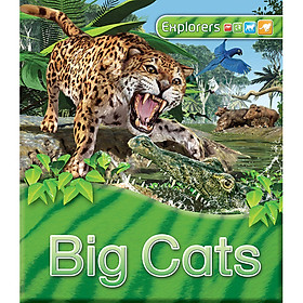Sách Explorers: Big Cats - Macmillan Publishers
