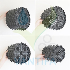 Mua Đế bầu ươm V6 20cm  30cm  40cm  50cm. 60cm