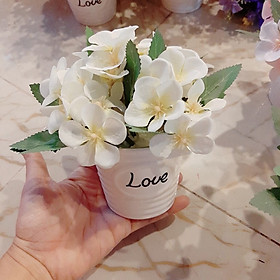 Mua Chậu Love sứ hoa tú cầu trang trí bàn