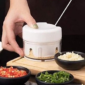 Mua Dụng Cụ Xay Tỏi Ớt Cầm Tay Mini Food Chopper