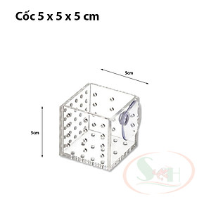 Cốc trồng cây mica Ebi-VN đa năng ươm cây thủy sinh cho ăn bể cá tép