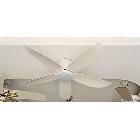 Mua Quạt trần cổ ngắn cho trần thấp  trần thạch cao chung cư hiện đại DT LIGHT QTD
