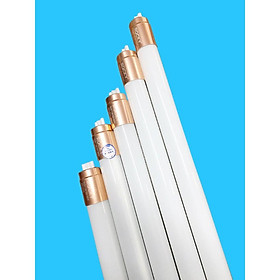 Mua BÓNG TUÝP LED ROCKY 1 2M - 20W  30W ( ĐƠN ĐẶT TỪ 4 BÓNG )
