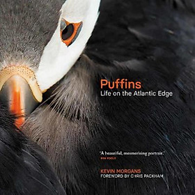 Sách - Puffins : Life on the Atlantic Edge by Kevin Morgans,Chris Packham (UK edition, hardcover)